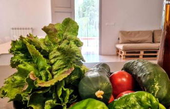 LaCasadelMarAmetlla - Foto 31