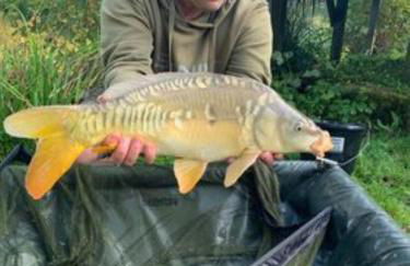 Charming tranquil Shepherds Hut with lakeside balcony 'Roach' - Foto 30