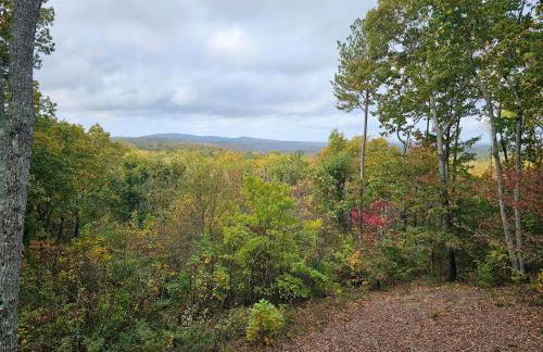 Amber Sunsets - Foto 41