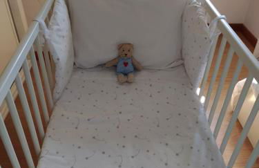 Casa das Japoneiras - Foto 11