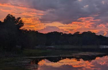 cozy lakeside retreat - Photo 12