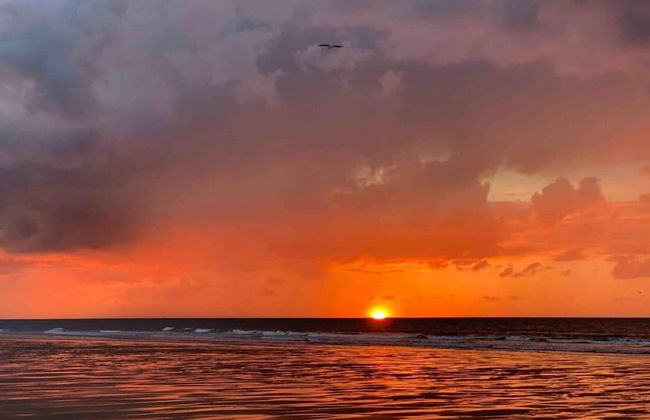 Apartment in Ostend Near North Sea - Foto 28