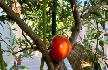 Appartement avec terrasse - Foto 28