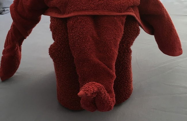 Silence Garden - Foto 8