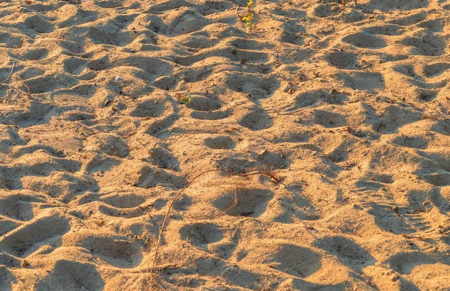 Ferienhaus Nordlys mit Sauna am Dummer See - Foto 21