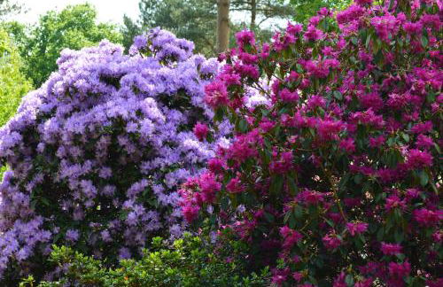 Pinecroft Barn - Relax & Unwind! - Foto 17