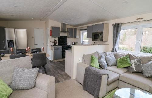 43 The Deri - Foto 4