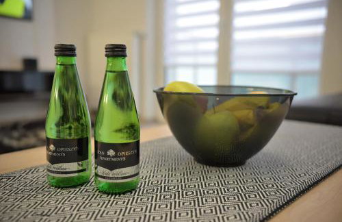 Apartamenty Platan Opieszyn 2 - Foto 8