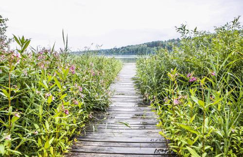 Dom Mazurski - Foto 16