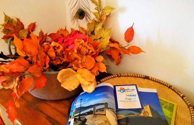 Casa Marina Sperlongaresort - Foto 34