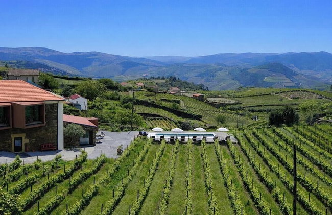 Casa do Santo - Wine & Tourism - Foto 1