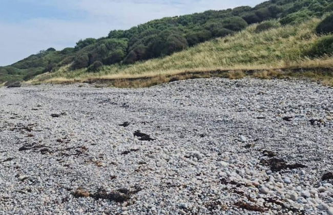 6 Person Holiday Home in Sjaellands Odde-by Traum - Foto 15