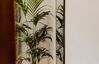 Indigo Seaside Experience - Foto 47