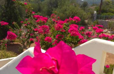 Villa Catherine - Foto 20