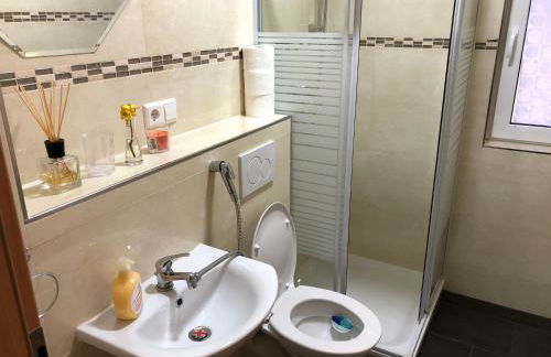 Sahara Falcon - Photo 146