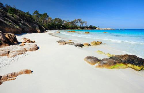 Residence ACQUA LINDA Porticcio - Foto 29