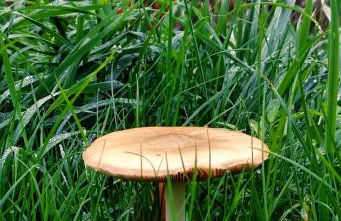 Ferienhaus Moselglück - Foto 80