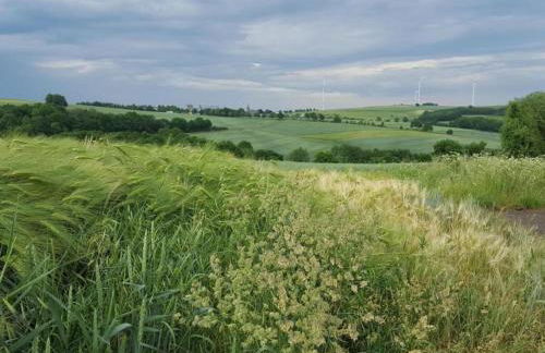 gemütliche Ferienwohnung in Kaifenheim - Foto 34