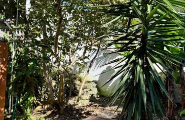 Haven Azores - Photo 32