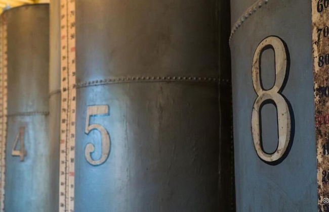 Molino la Nava - Foto 57