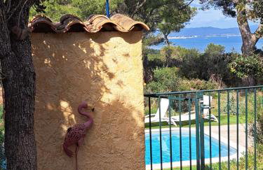 BASTIDE PRESQU ILE DE GIENS SUPERBE VUE MER PISCINE - Photo 5