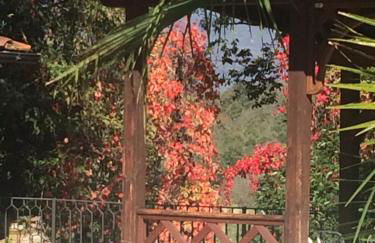 Podere San Lorenzo - Photo 21