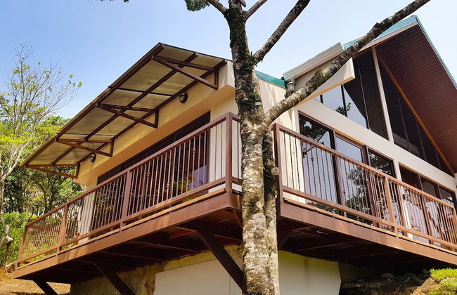 Green Forest Vacations Homes - Foto 19