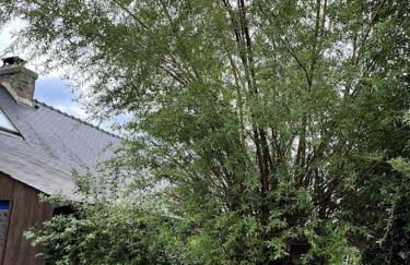 Charmant Penty Breton, entre terre et mer, Tregunc - Foto 5