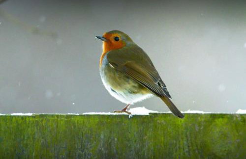 The Hideaway-Perfect Staycation - Foto 41