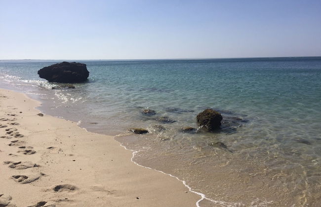 Vila Sao & Pompeia - Photo 39