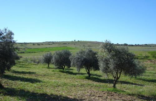 Horta do Muro - Foto 26