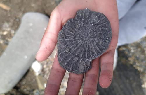 Countryside Retreat with Hot Tub - Photo 19