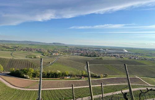 Fränkisches Nest am Schwanberg für 2-4 Personen - in der Nähe aller Weingüter, KNAUF GIPS KG und ConneKT - Foto 25