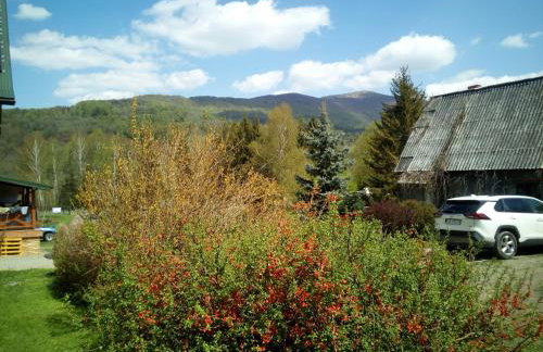 Domek Jancio Wodnik - Photo 20