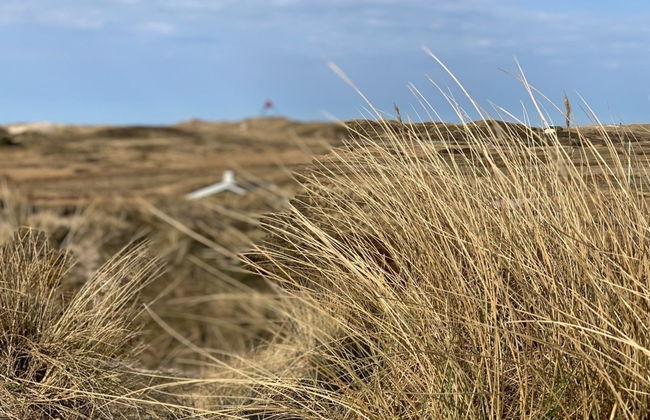 "Durita" - 600m to the fjord - Foto 22