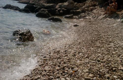 Apartments Cajic - Foto 38