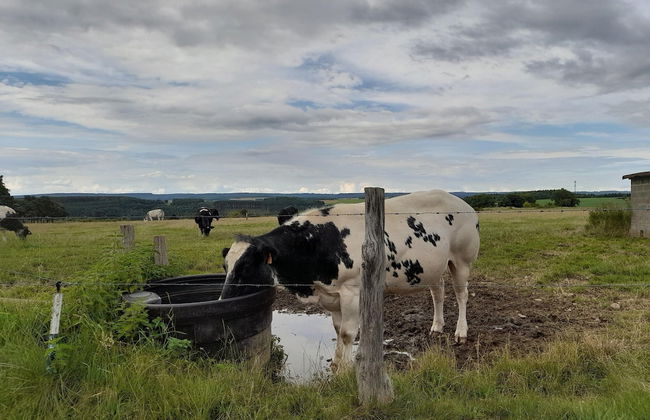 Beautiful and Authentic Cottage - Foto 21