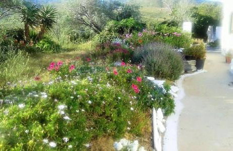 Avgoustis' stone house - Foto 31