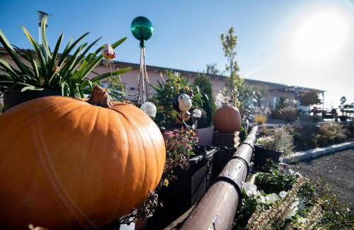 L-Appartements - Foto 40