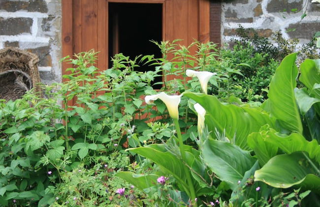 Agroturismo Amalau - Photo 17