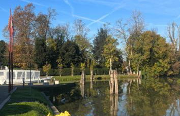 4Venice Malcontenta - Foto 6