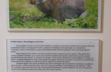 Casas da Serra - Soeima Housing - Foto 29