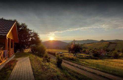 Domki na Górce w Bukowcu nad Soliną - Foto 10