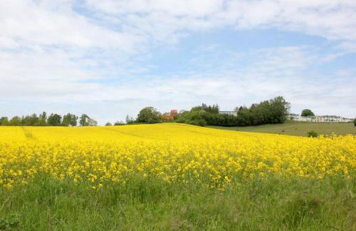 mit Meerblick und Balkon, gratis Nutzung vom AHOI Erlebnisbad und Sauna in Sellin - Meeresblick FeWo 33 - Foto 16