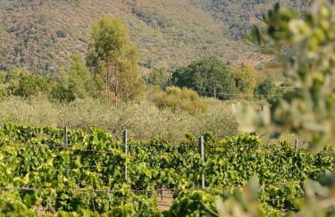 Casa di campagna 'Sa Vinzedda' - Foto 38