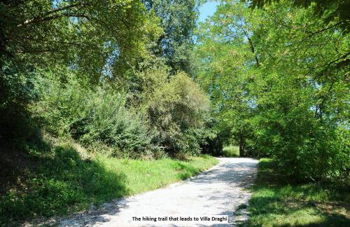 CaMagnolia Apartment - Foto 33