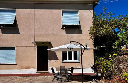 Il giardino delle Cycas - Foto 11