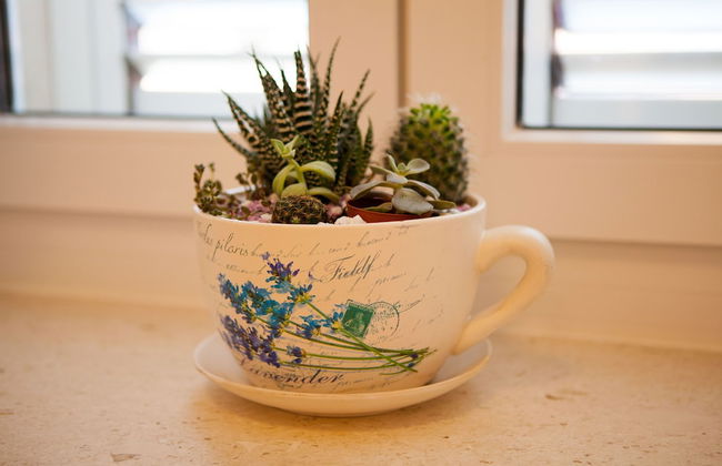 Split Summer Lounge Apartments - Foto 28