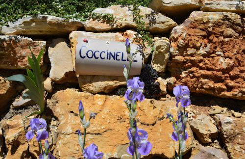 Gîte Coccinelle - Foto 6