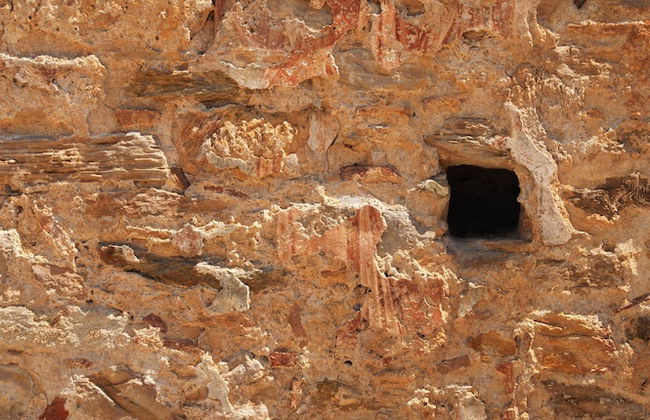 Montofoli Wine Estate - Foto 49